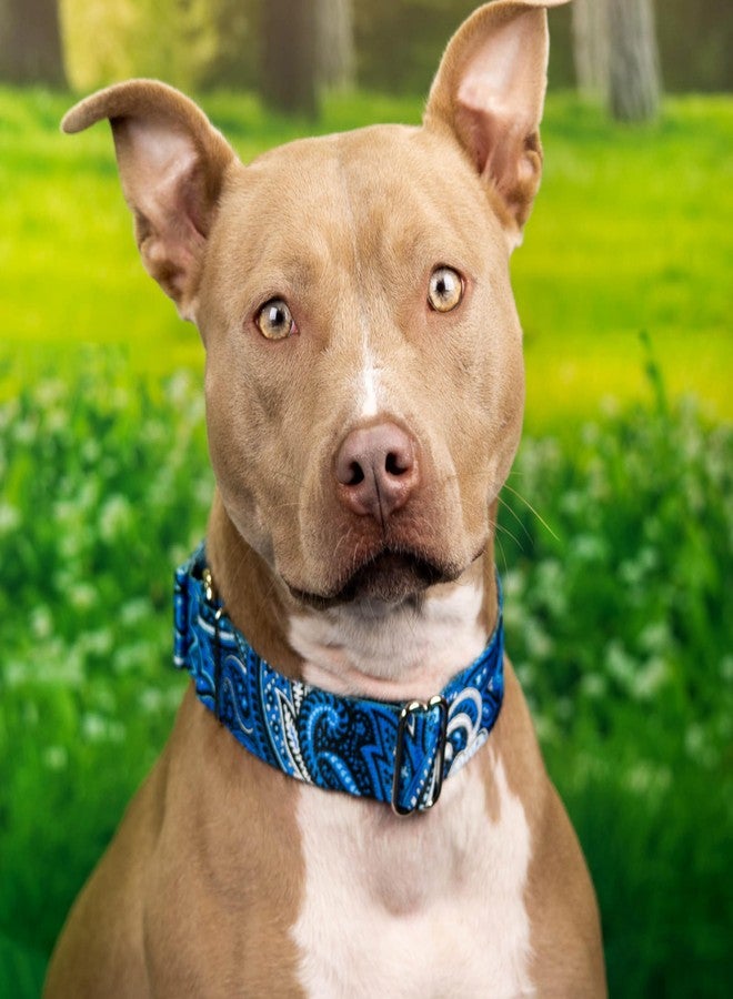 كانتري بروك ديزاين طوق مارتينجال عريض للكلاب من كونتري بروك بيتز - هوسفيت جونيور - مجموعة بيزلي بتصاميم أنيقة (بيزلي أزرق، كبير) - Image 2